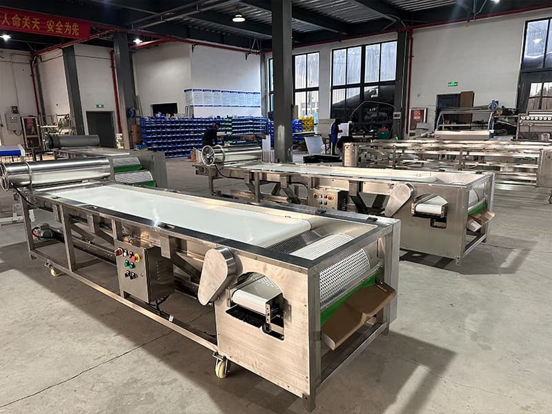 images/1704180735799blueberry sorting machine.jpg